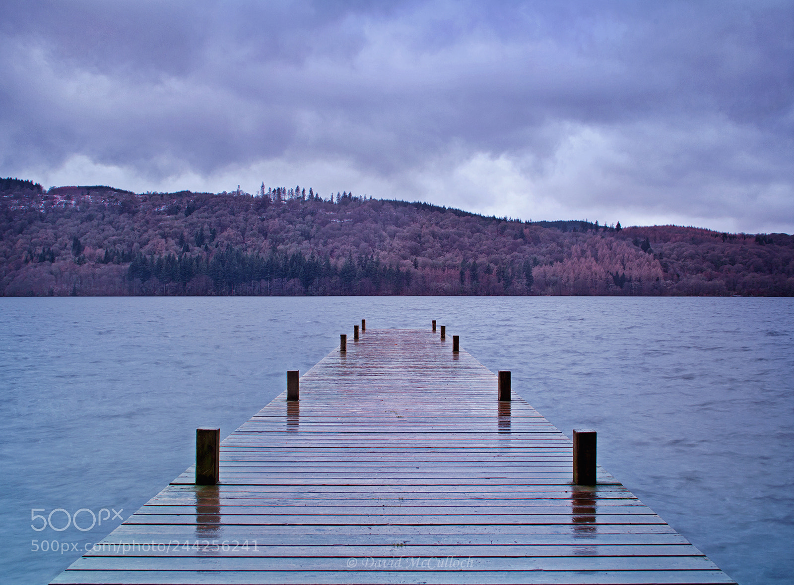 Canon EOS 500D (EOS Rebel T1i / EOS Kiss X3) sample photo. Wet windermere photography