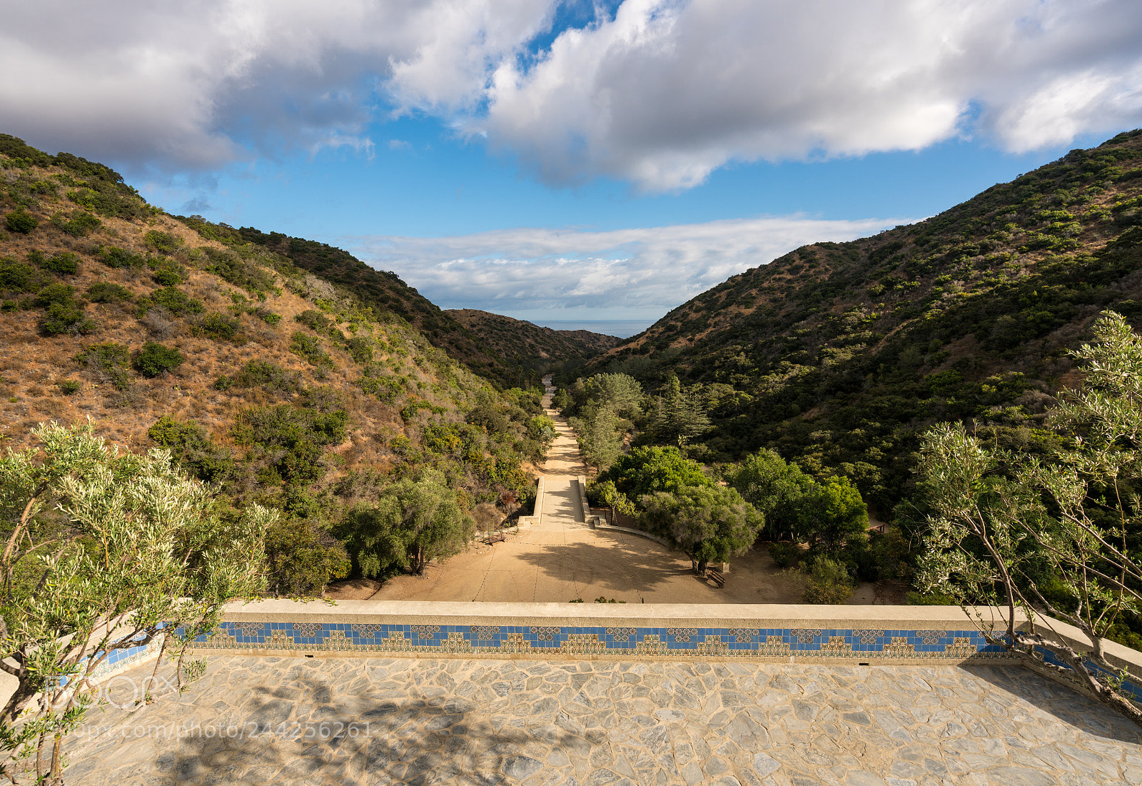 Sony a7R II sample photo. Wrigley memorial and botanic photography