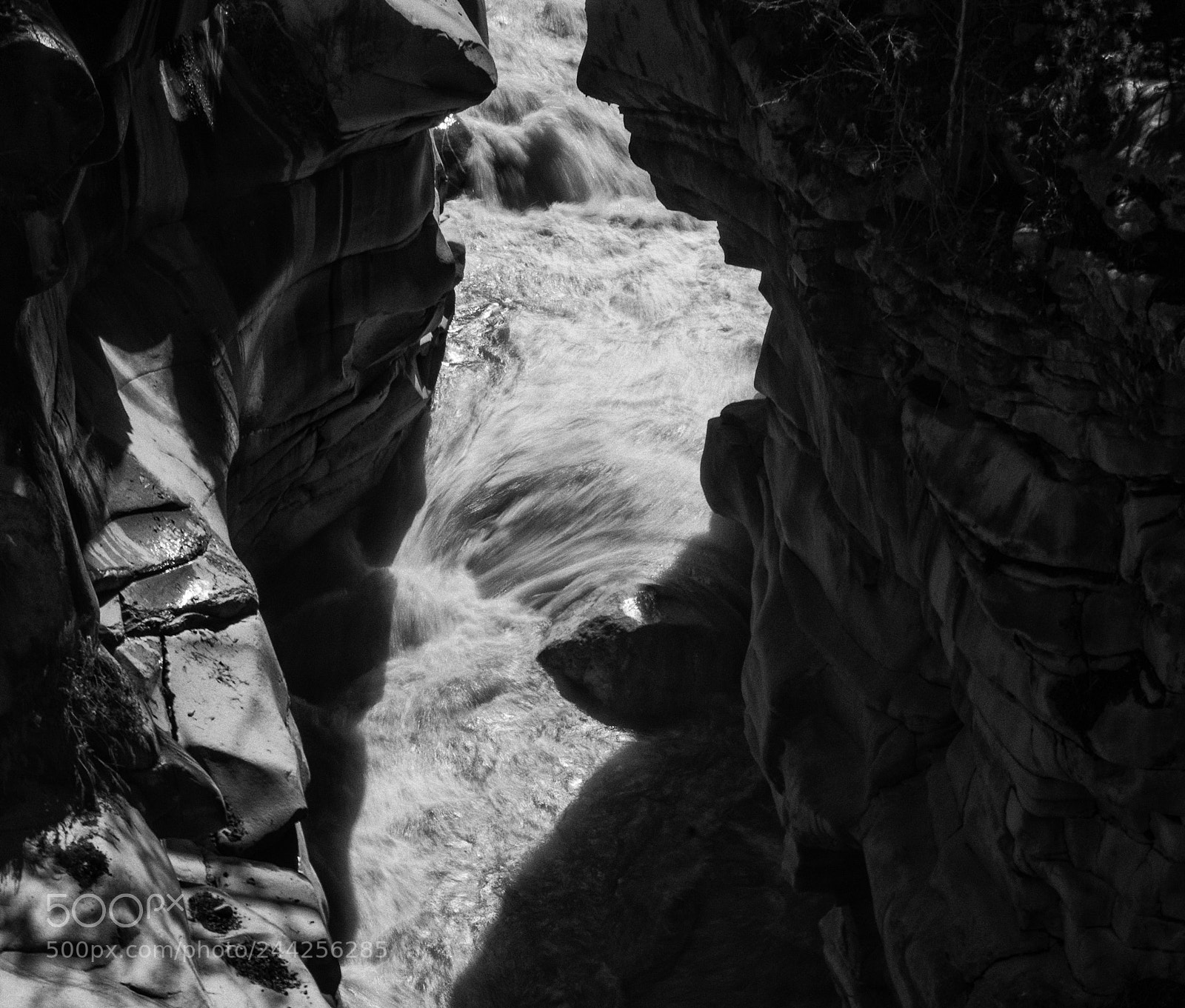 Nikon D5100 sample photo. Surajkund [@gangotri] photography