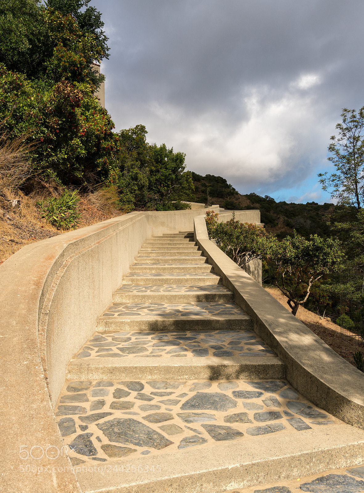 Sony a7R II sample photo. Wrigley memorial and botanic photography