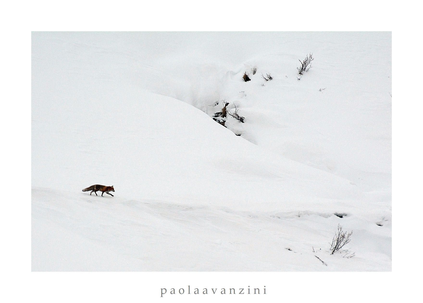 Nikon D7100 sample photo. Nelbianco photography