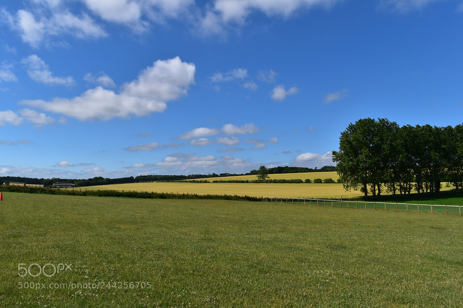 Nikon D5500 sample photo. 39859282842.jpg photography