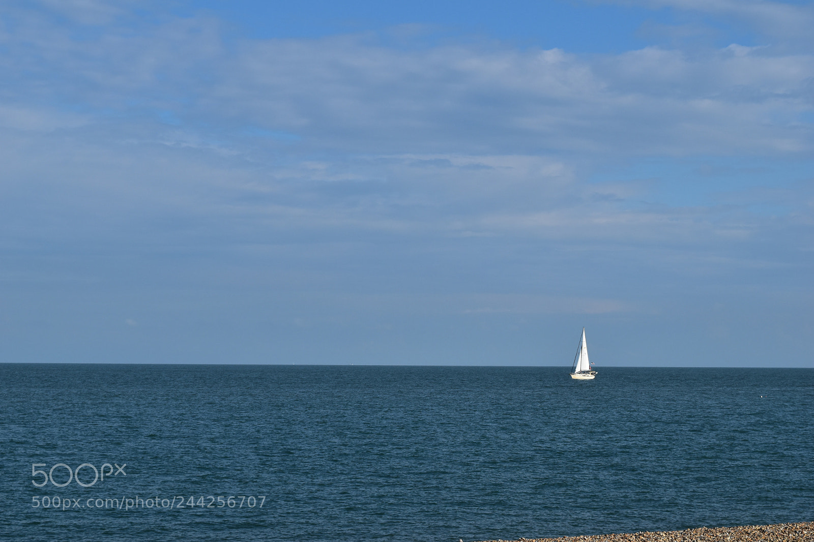 Nikon D5500 sample photo. 39892179441.jpg photography