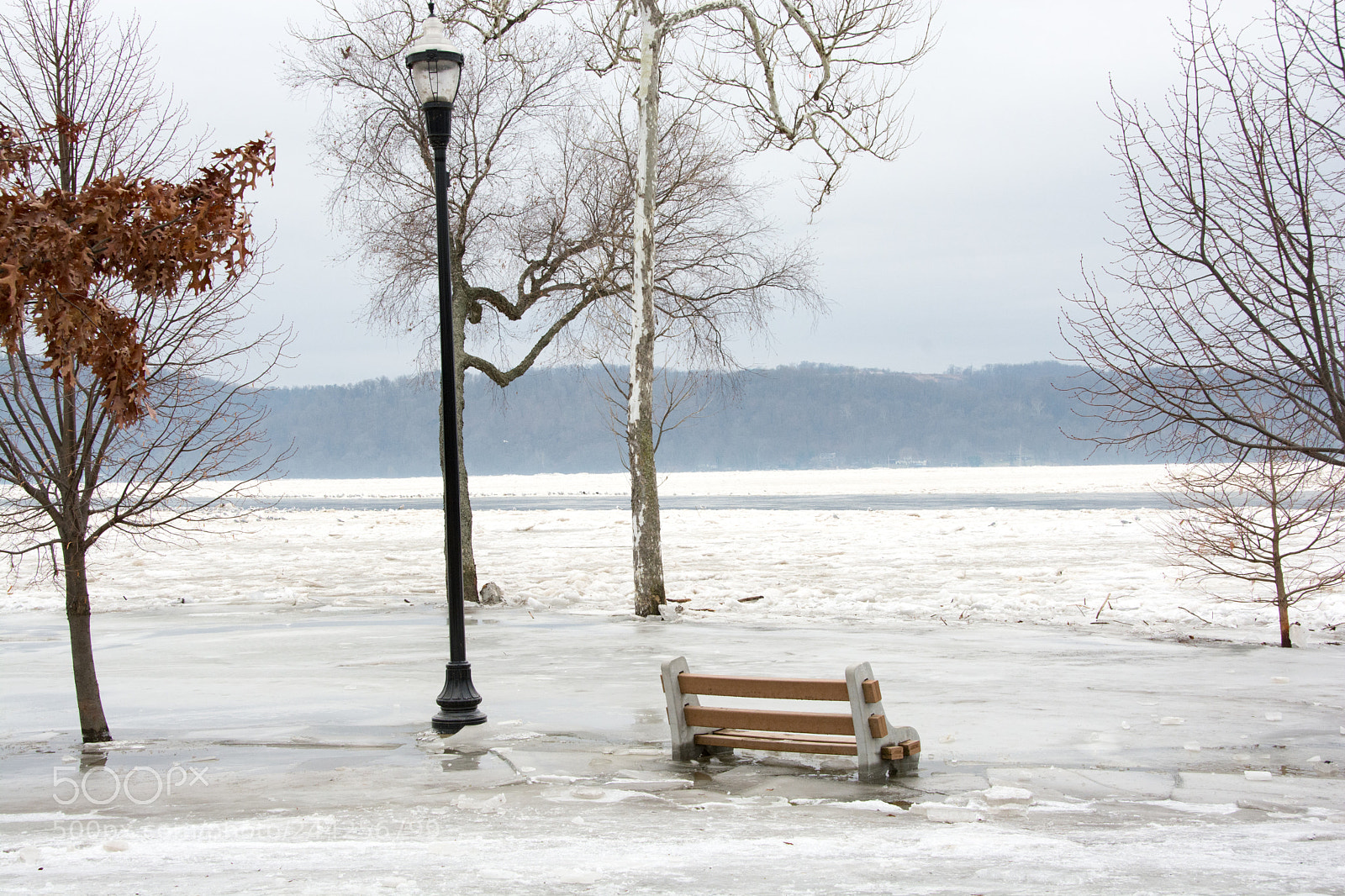 Nikon D7100 sample photo. Frozen bench photography