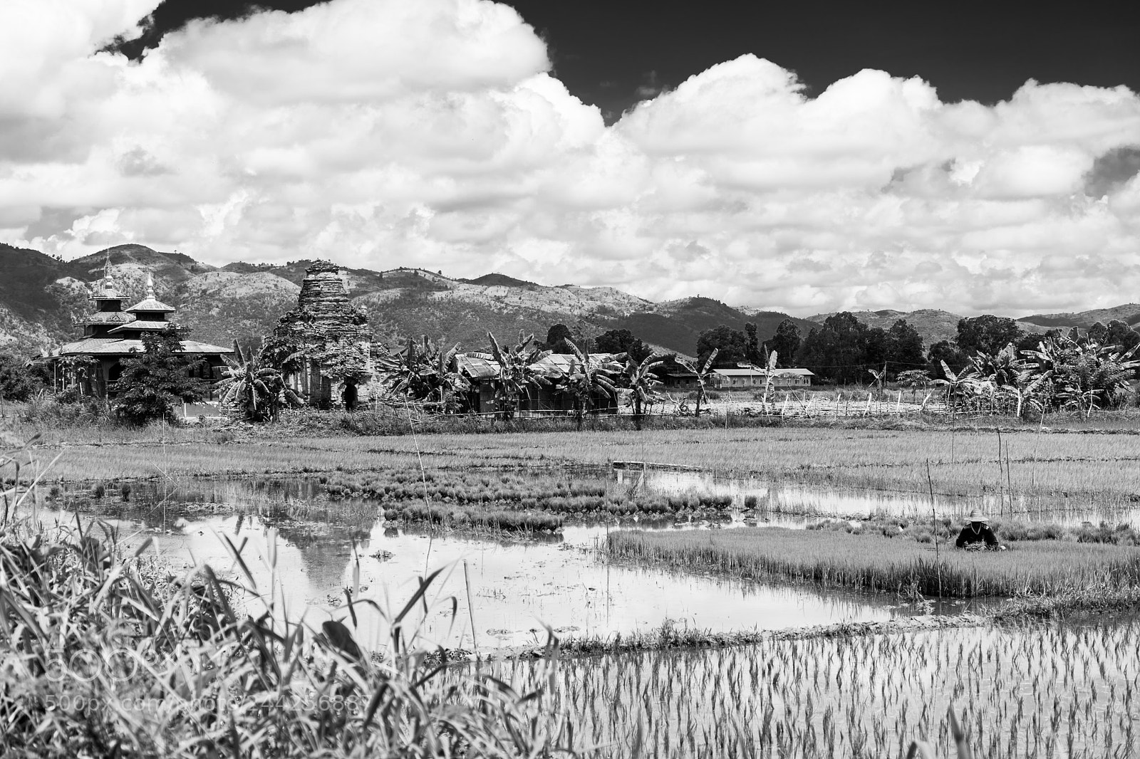 Sony a7 II sample photo. Inle lake photography
