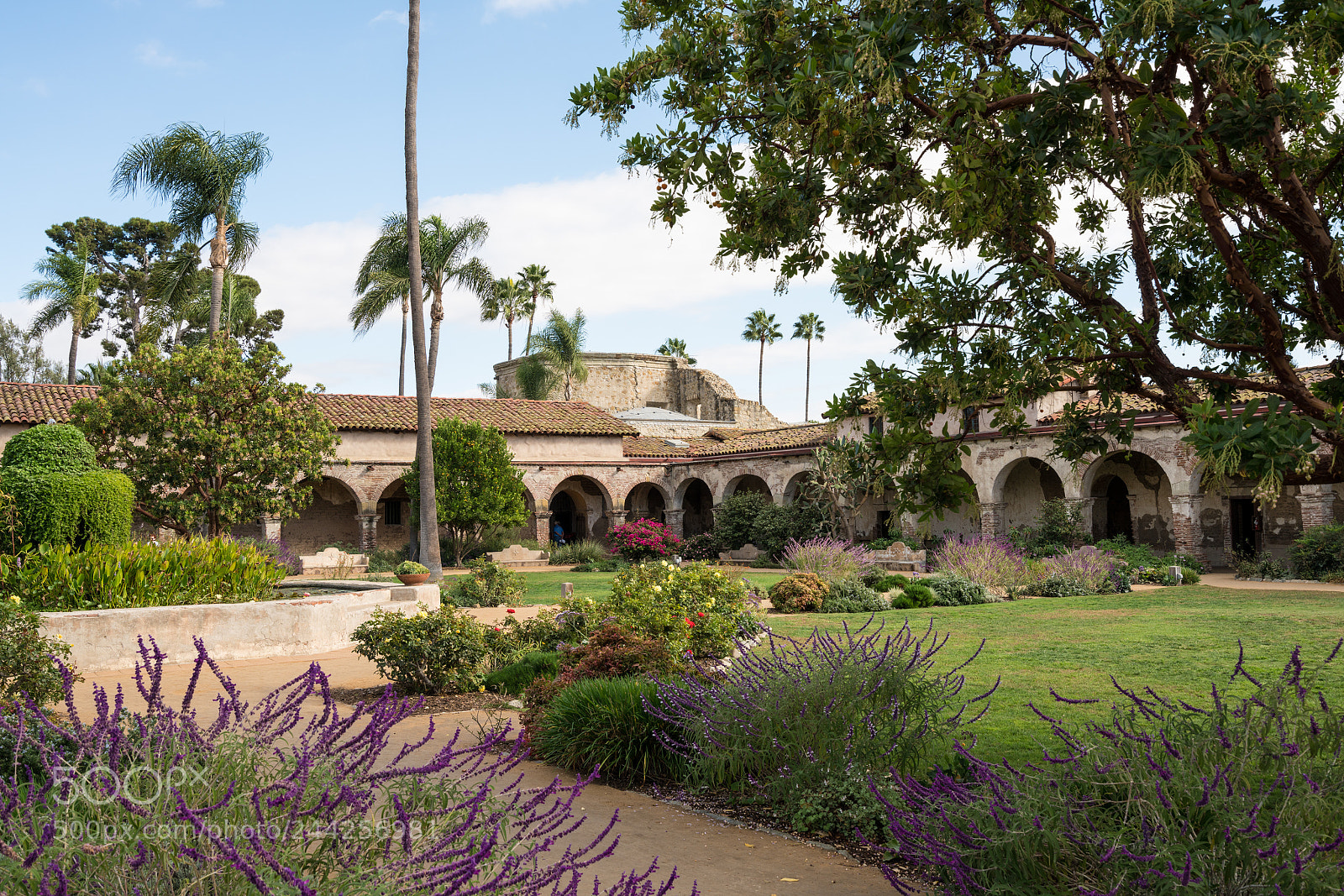 Sony a7R II sample photo. Garden and fountain in photography