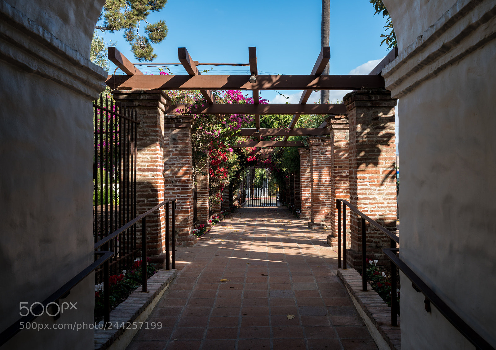 Sony a7R II sample photo. Tiled pathway through pergola photography