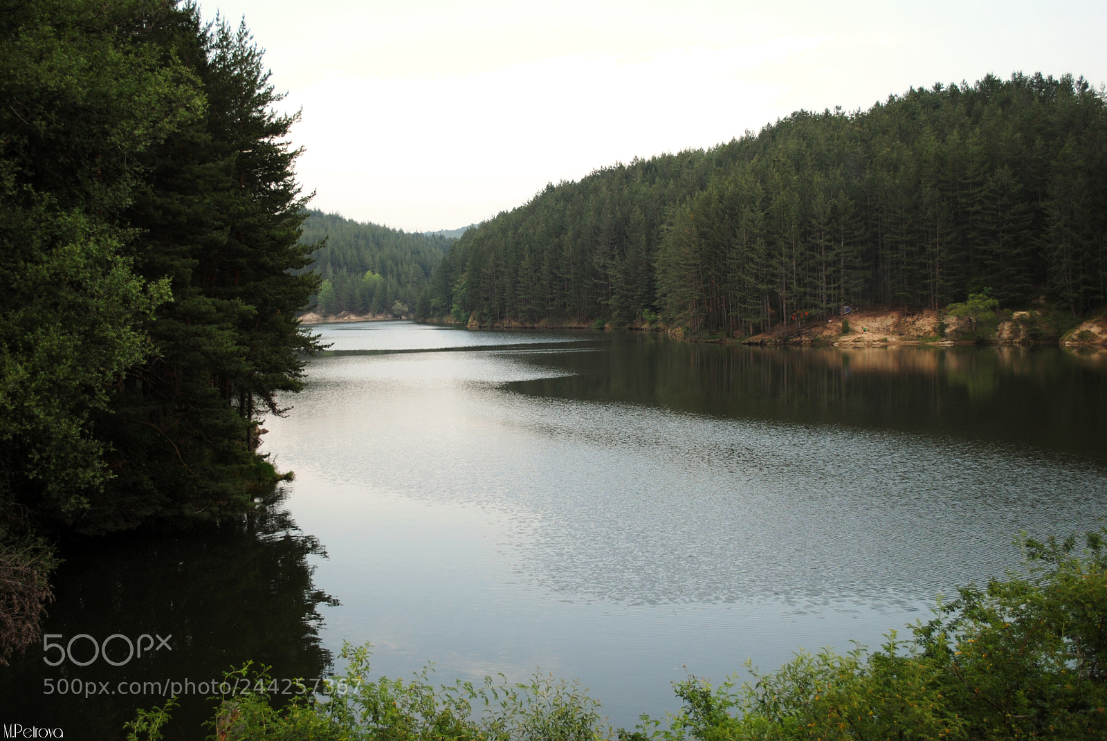 Nikon D3000 sample photo. Escape photography
