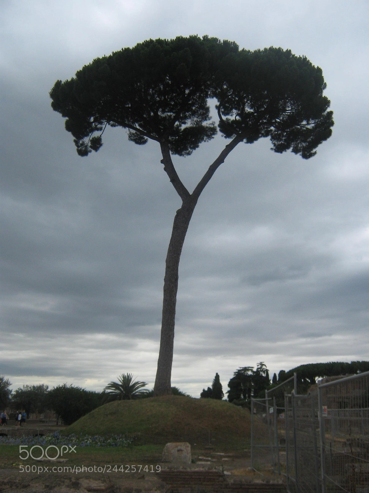 Canon PowerShot A470 sample photo. De pie ante la photography
