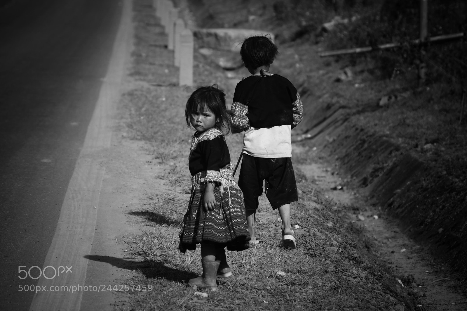 Pentax K-3 sample photo. Untitled photography