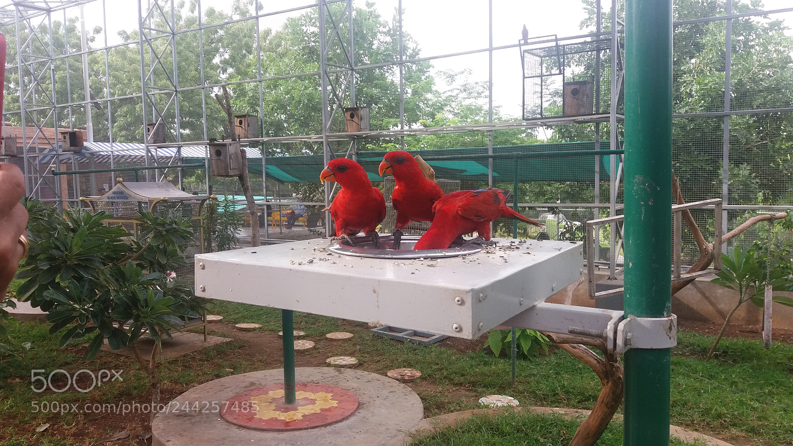 Samsung Galaxy J5 sample photo. 20170703_163957.jpg photography