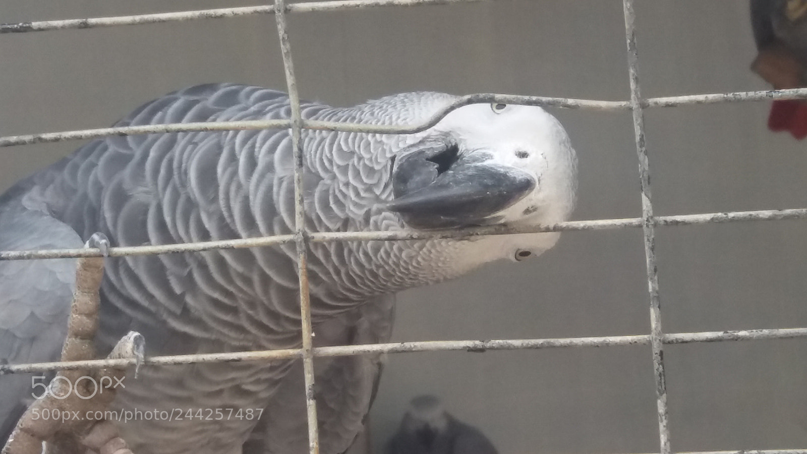 Samsung Galaxy J5 sample photo. 20170703_162833.jpg photography