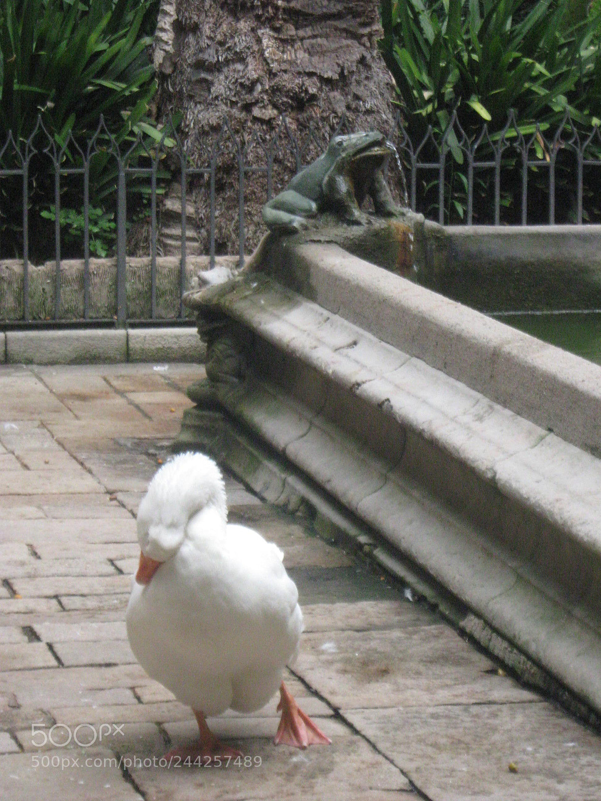 Canon PowerShot A470 sample photo. Untitled photography