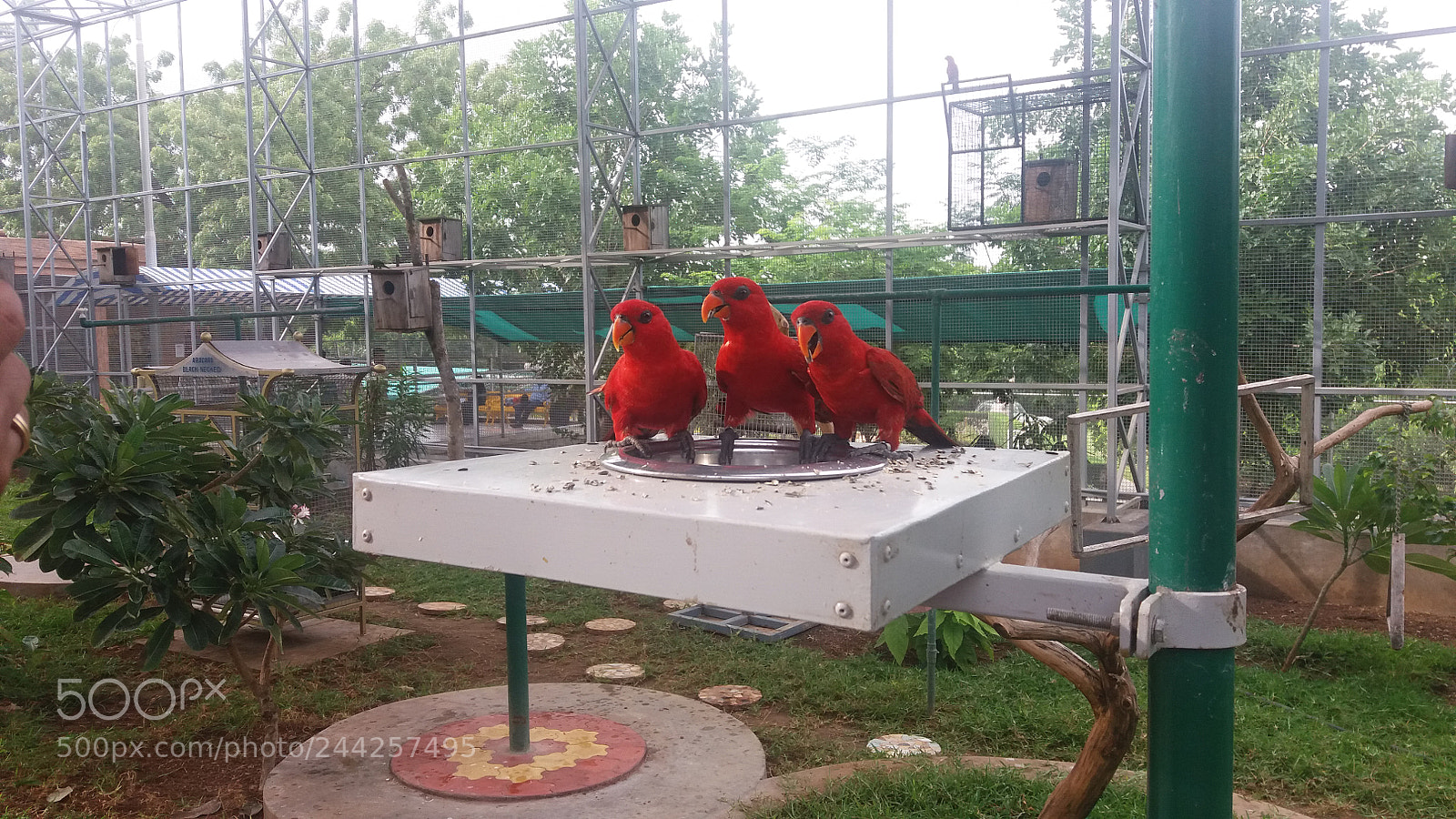 Samsung Galaxy J5 sample photo. 20170703_163958.jpg photography