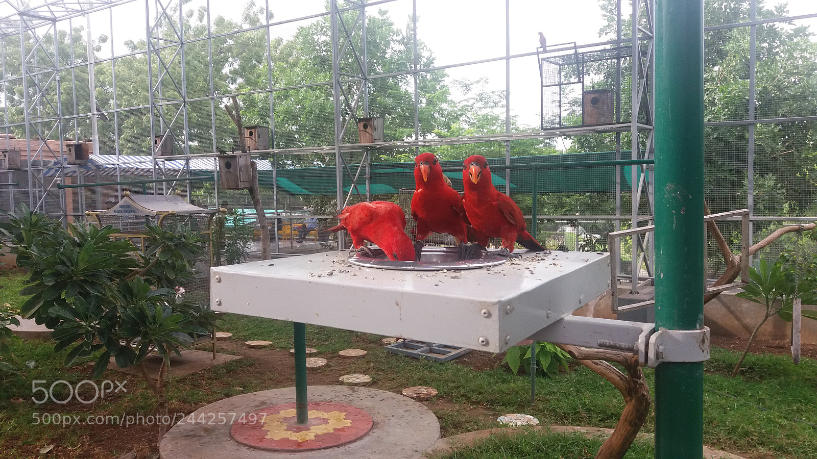 Samsung Galaxy J5 sample photo. 20170703_163959.jpg photography