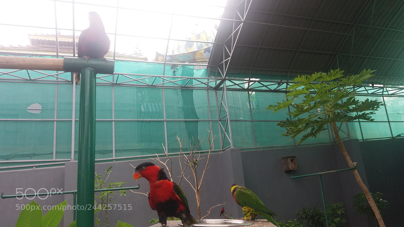 Samsung Galaxy J5 sample photo. 20170703_164033.jpg photography