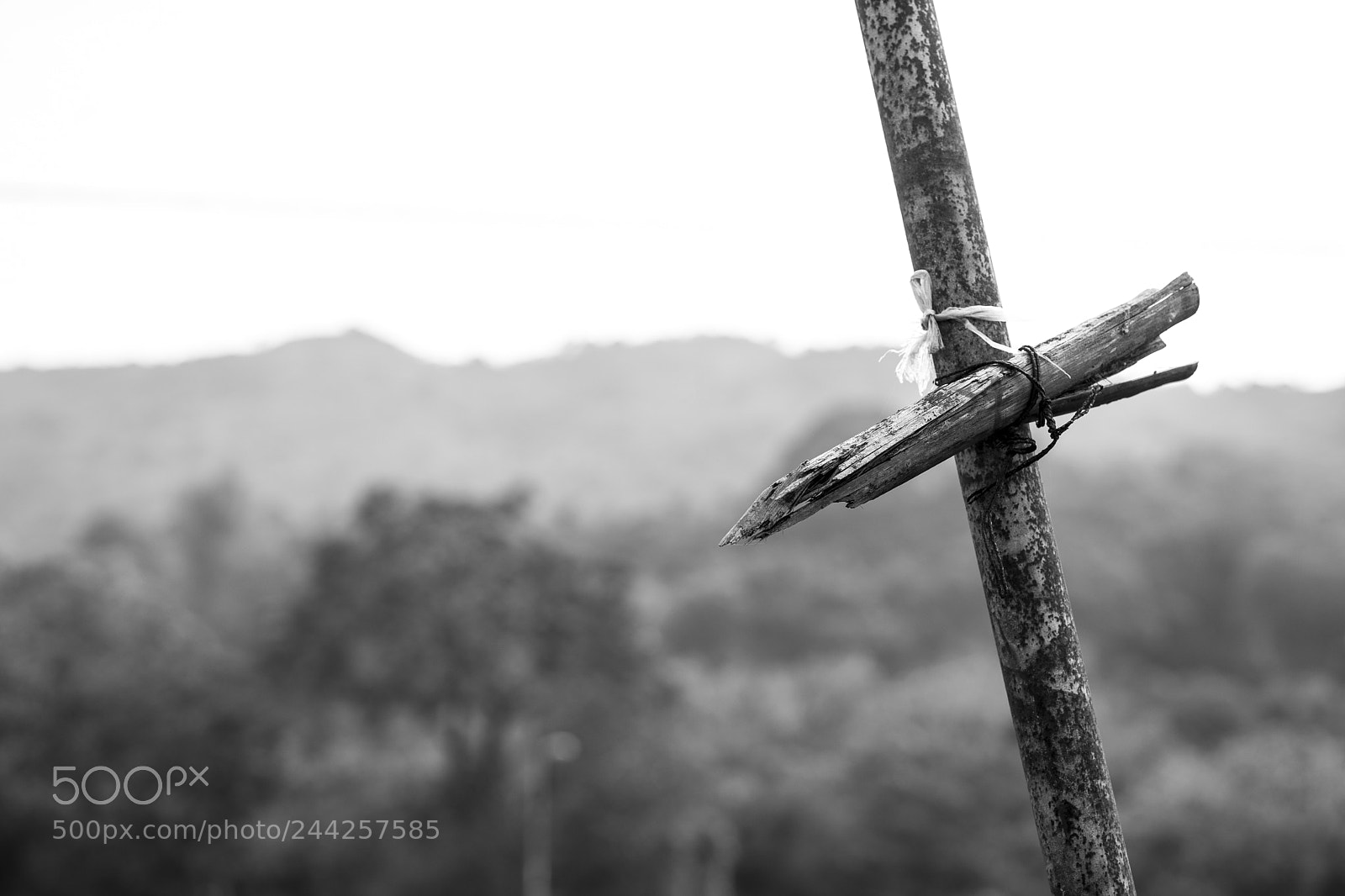 Sony a7 sample photo. Cross photography