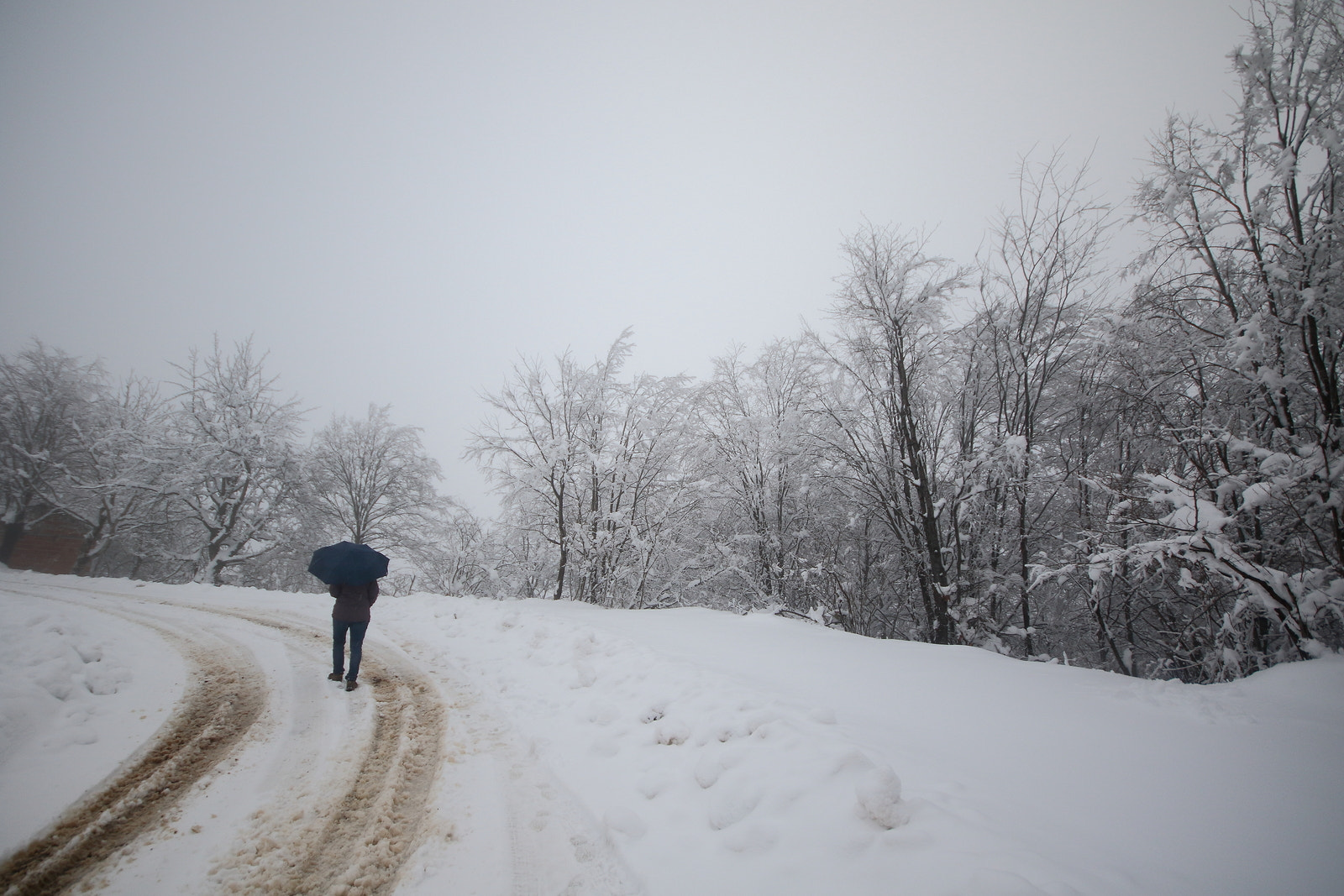 Sigma 10-20mm F4-5.6 EX DC HSM sample photo. Snow and fog photography