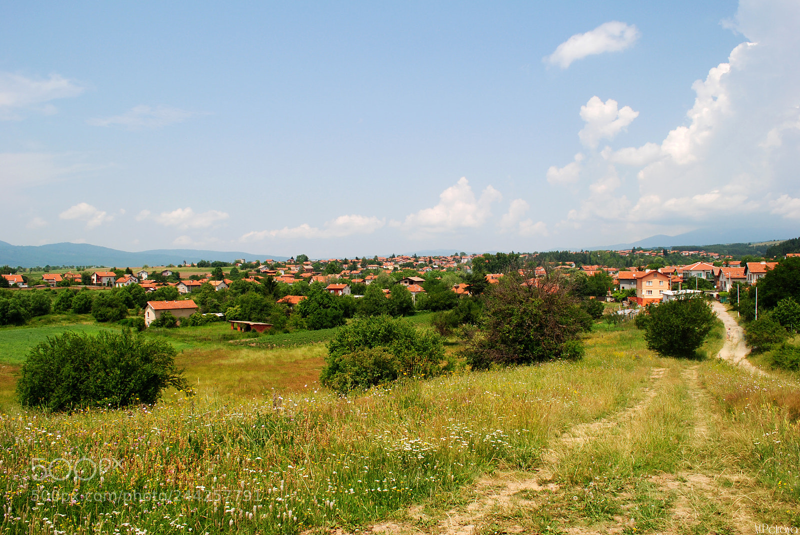 Nikon D3000 sample photo. The view photography