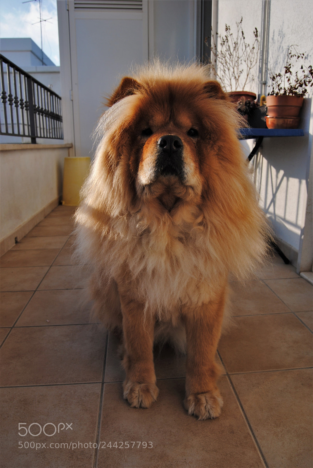 Nikon D3000 sample photo. She's the one who photography