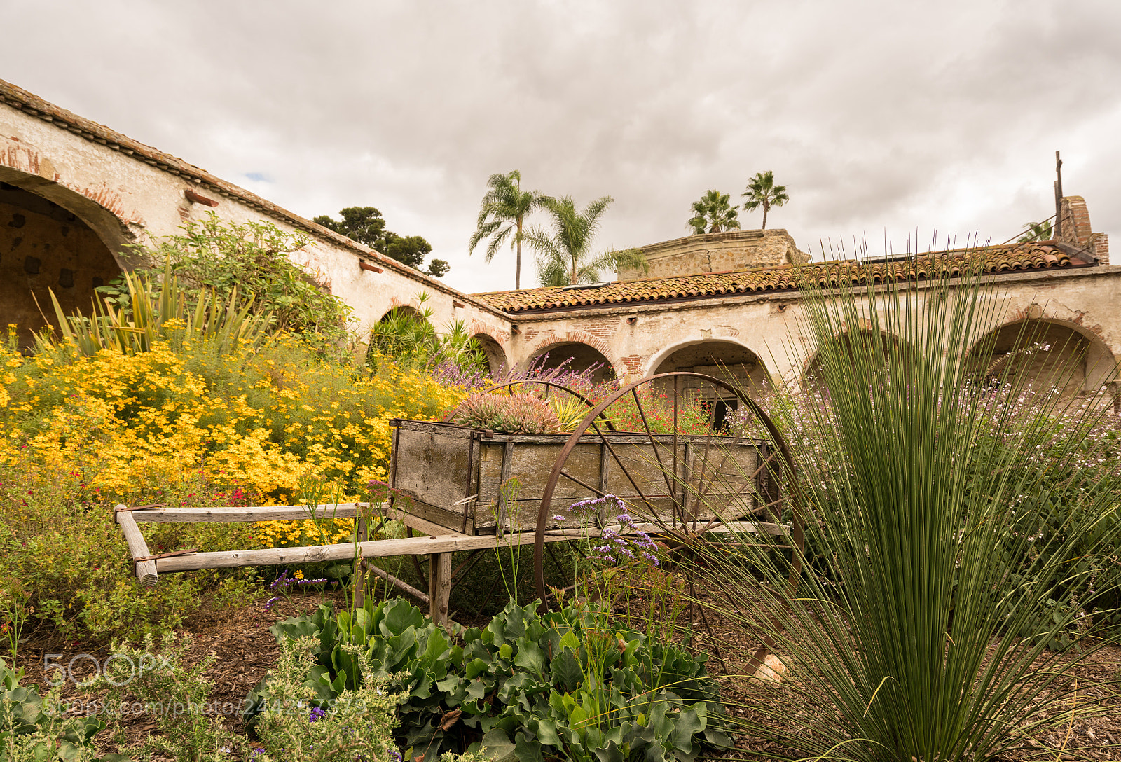 Sony a7R II sample photo. Garden and cart in photography