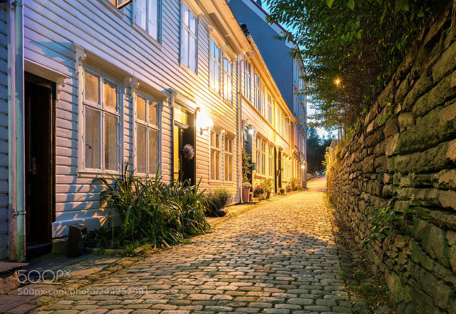 Sony a7R II sample photo. Nedre strangehagen street in photography