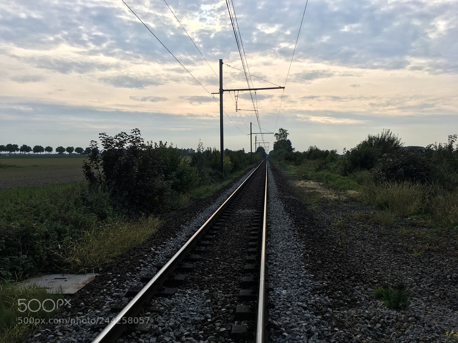 Apple iPhone SE sample photo. Untitled photography