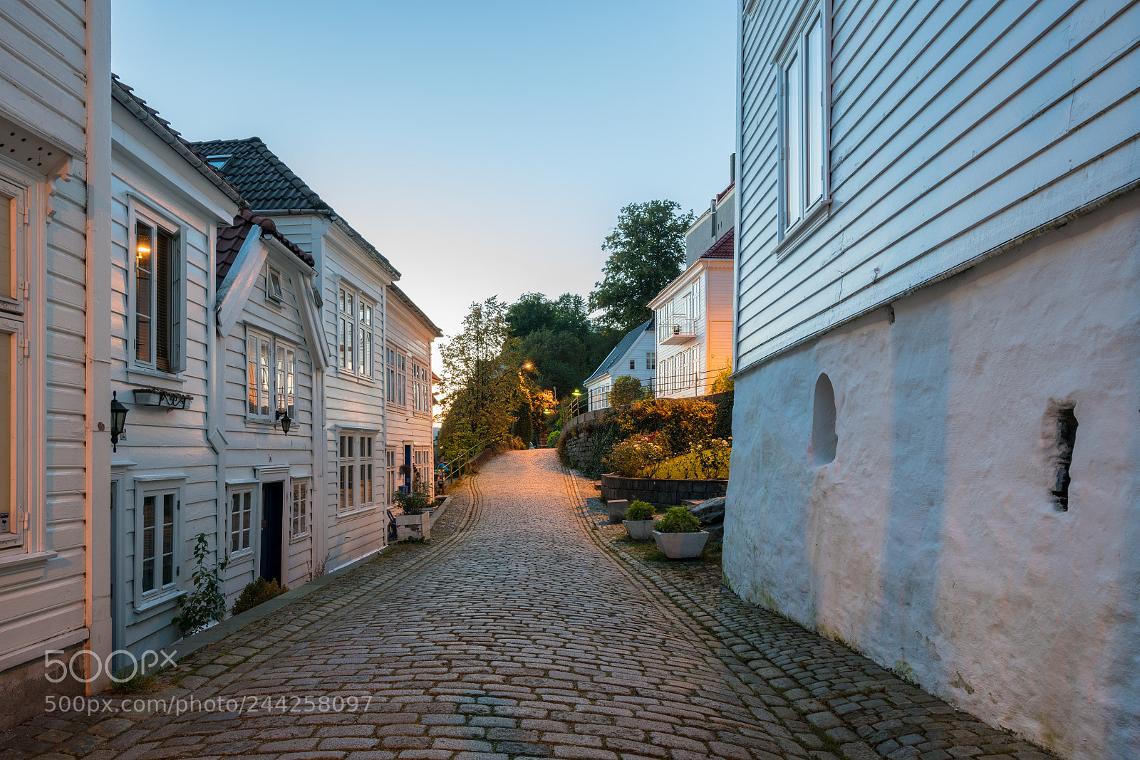 Sony a7R II sample photo. Nedre strangehagen street in photography