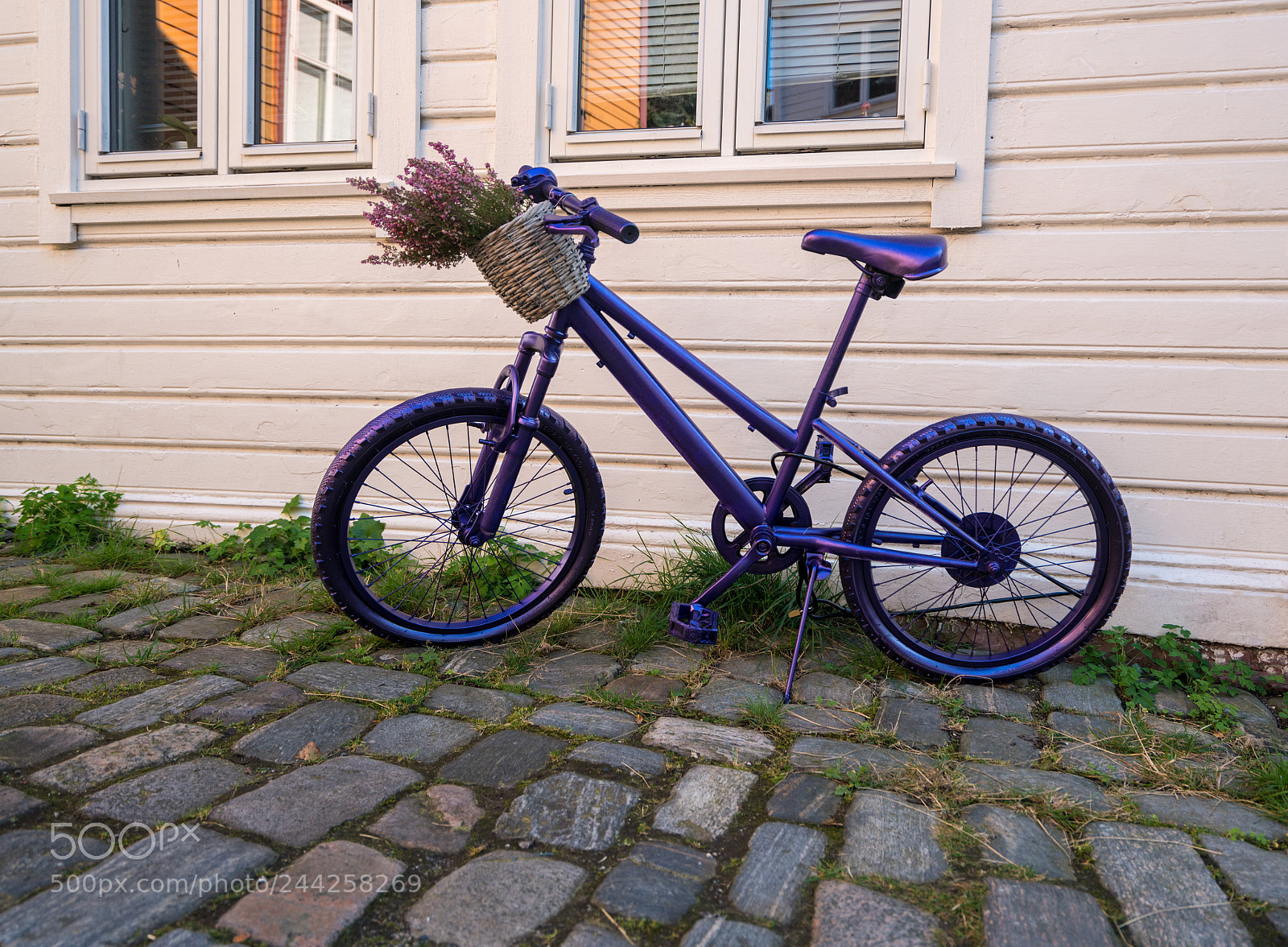Sony a7R II sample photo. Purple bike in street photography