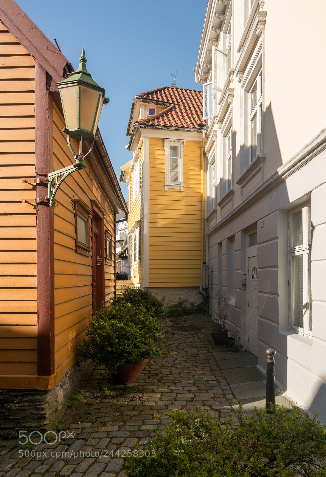 Sony a7R II sample photo. Cobblestone street in bergen photography