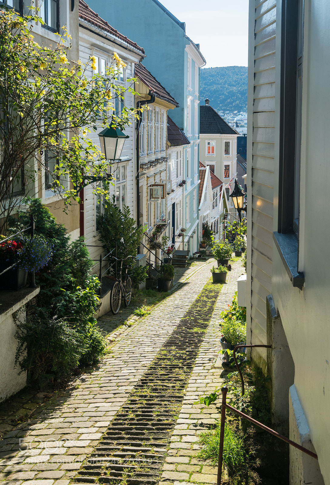 Sony a7R II sample photo. Cobblestone street in bergen photography