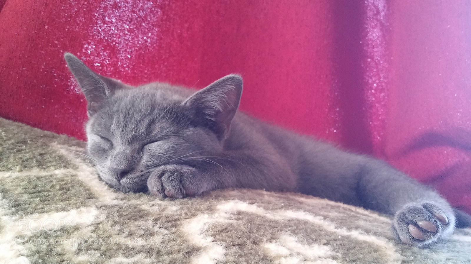 LG G3 sample photo. Karthauser photography