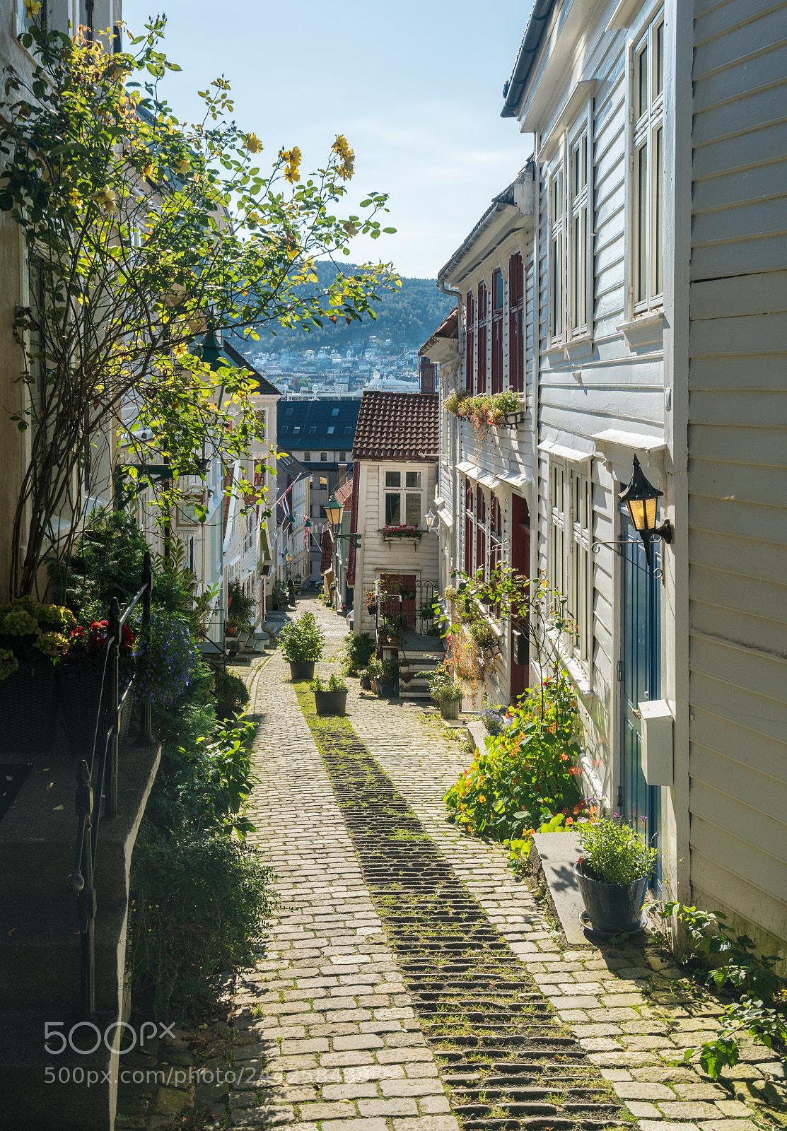 Sony a7R II sample photo. Cobblestone street in bergen photography