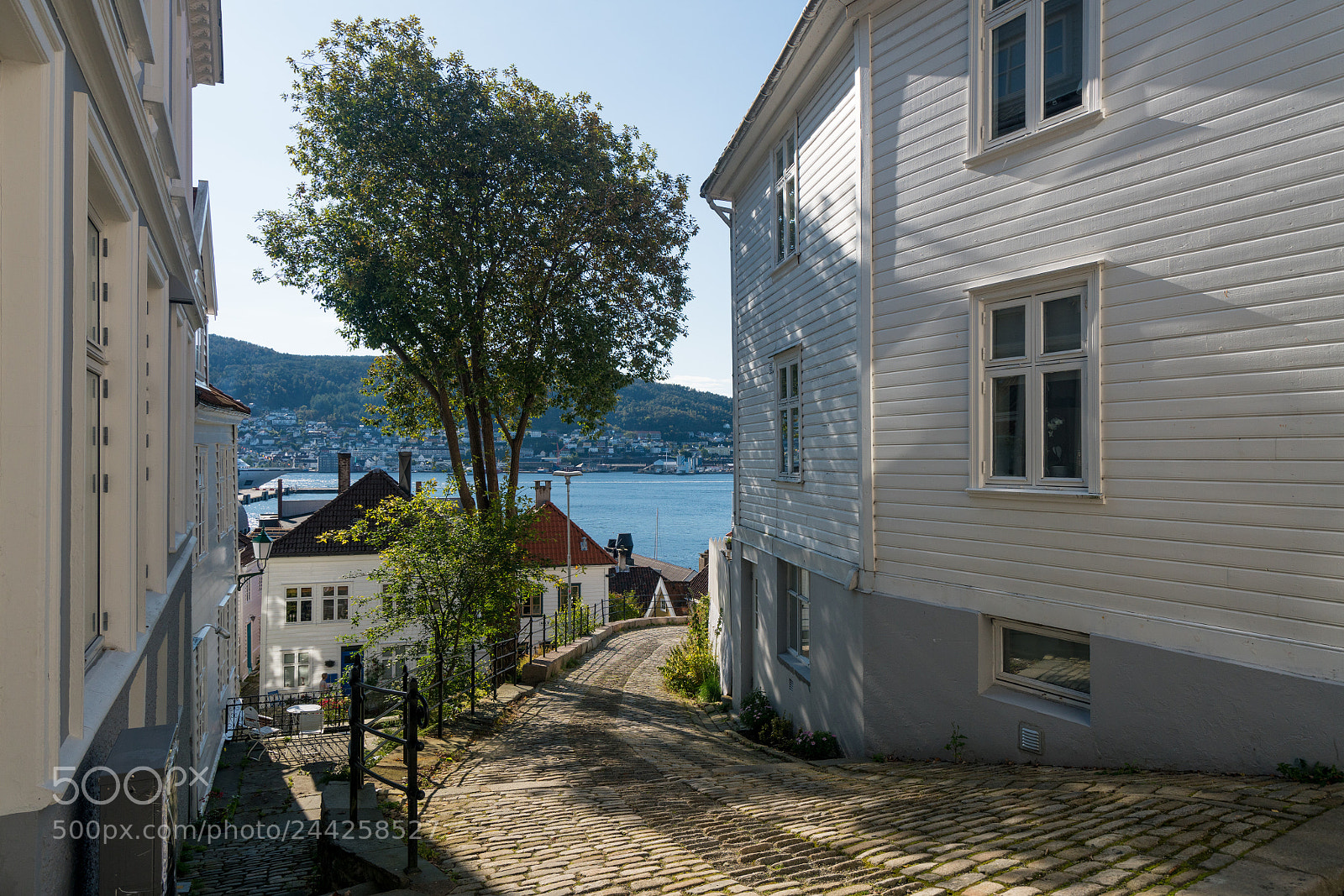 Sony a7R II sample photo. Cobblestone street in bergen photography