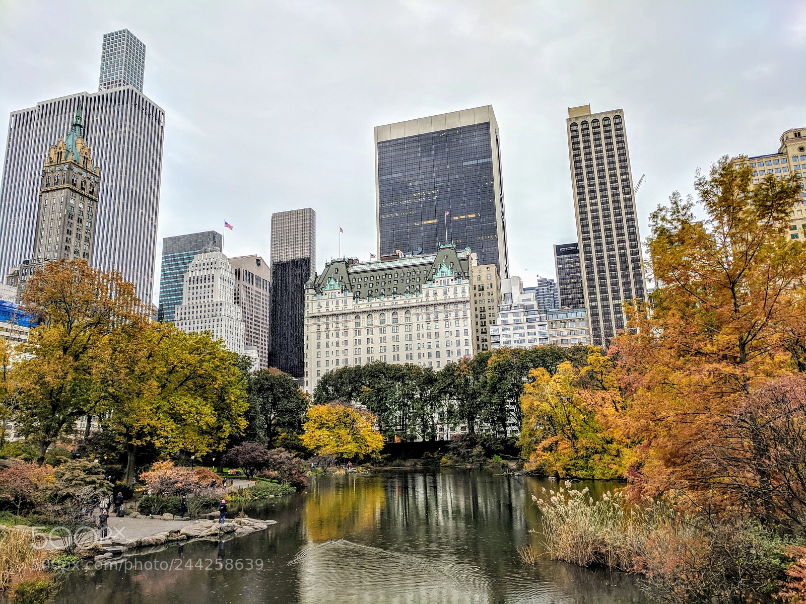 Google Pixel sample photo. Fall-in-centralpark.jpg photography