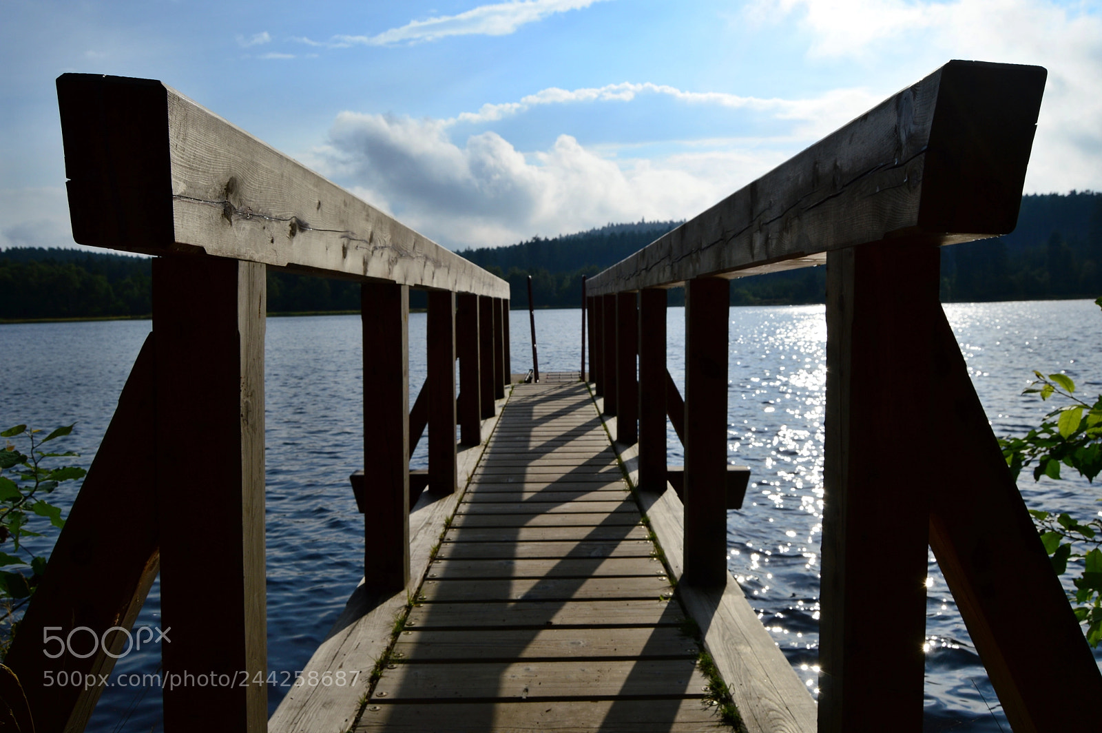Nikon D3200 sample photo. Bridge photography