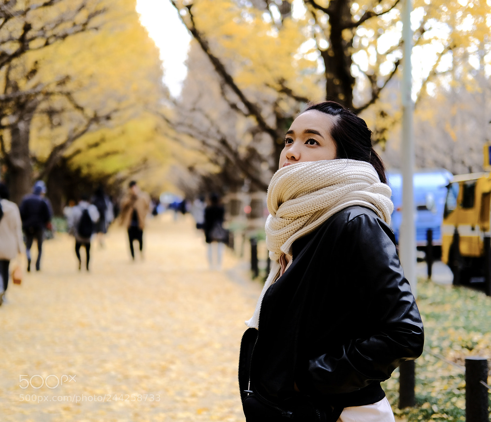 Fujifilm X-Pro2 sample photo. Untitled photography