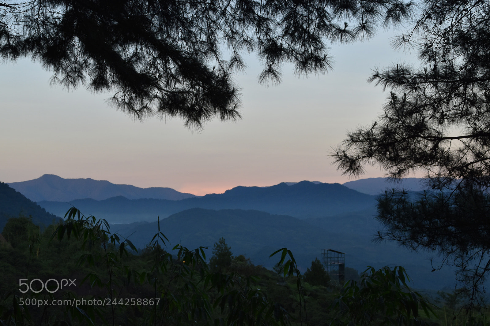 Nikon D5500 sample photo. Untitled photography