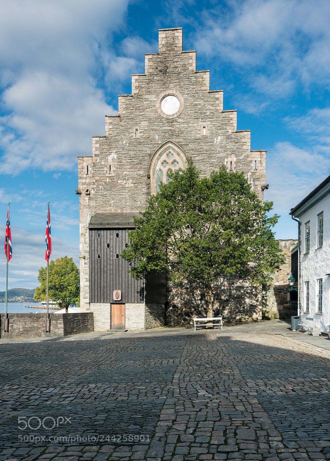 Sony a7R II sample photo. Haakons hall inside bergenhus photography