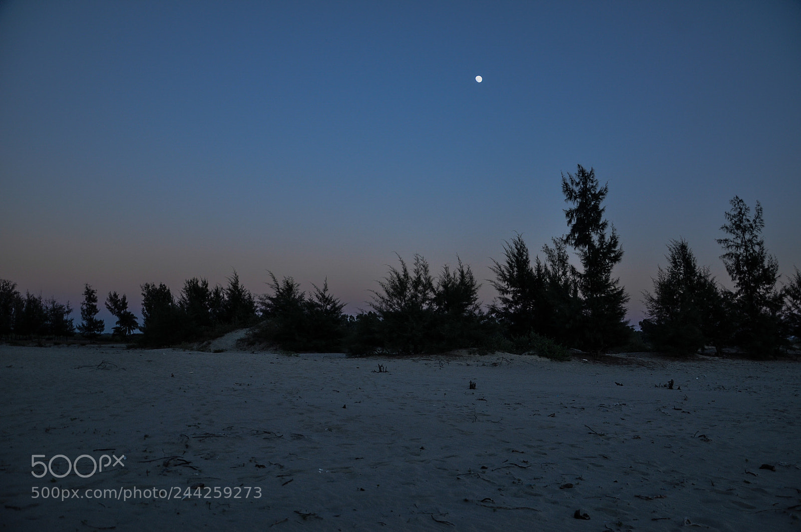 Nikon D90 sample photo. Love with the moon photography