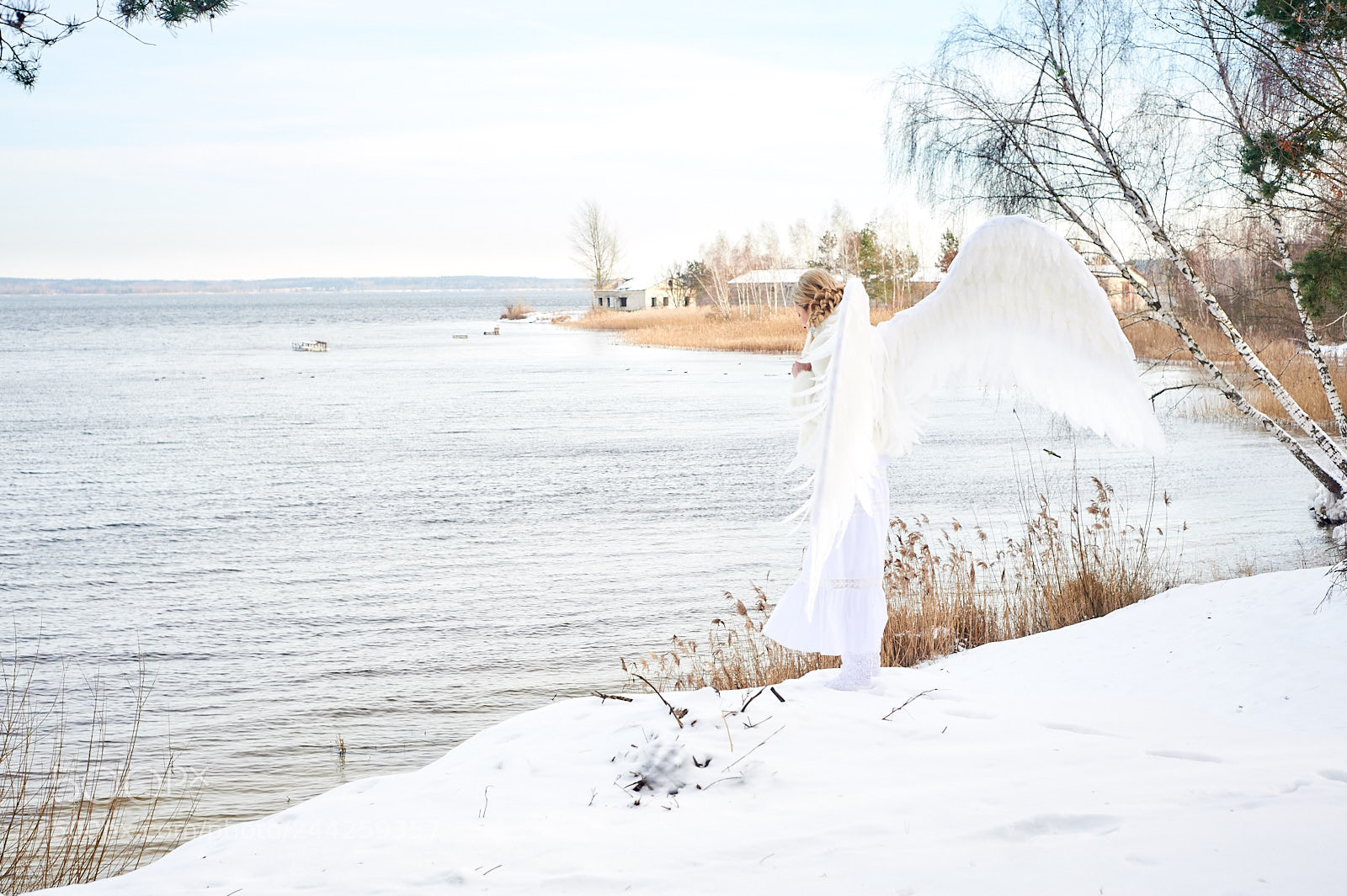Nikon D700 sample photo. Angel photography