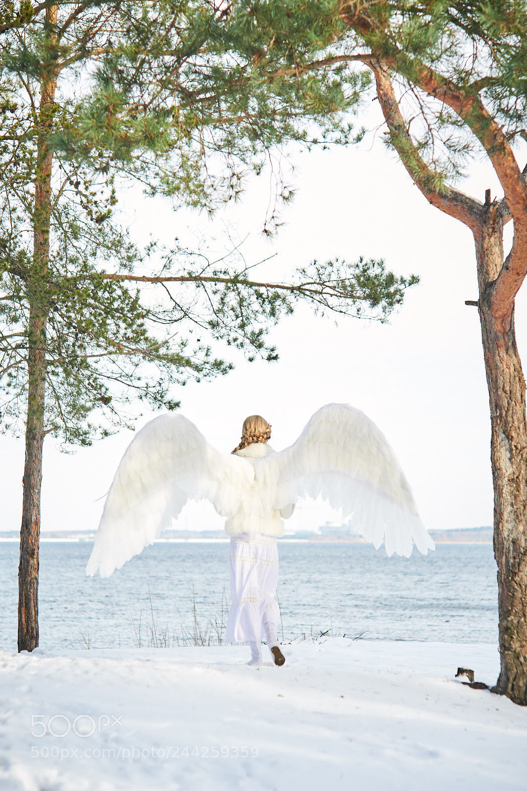 Nikon D700 sample photo. Angel photography