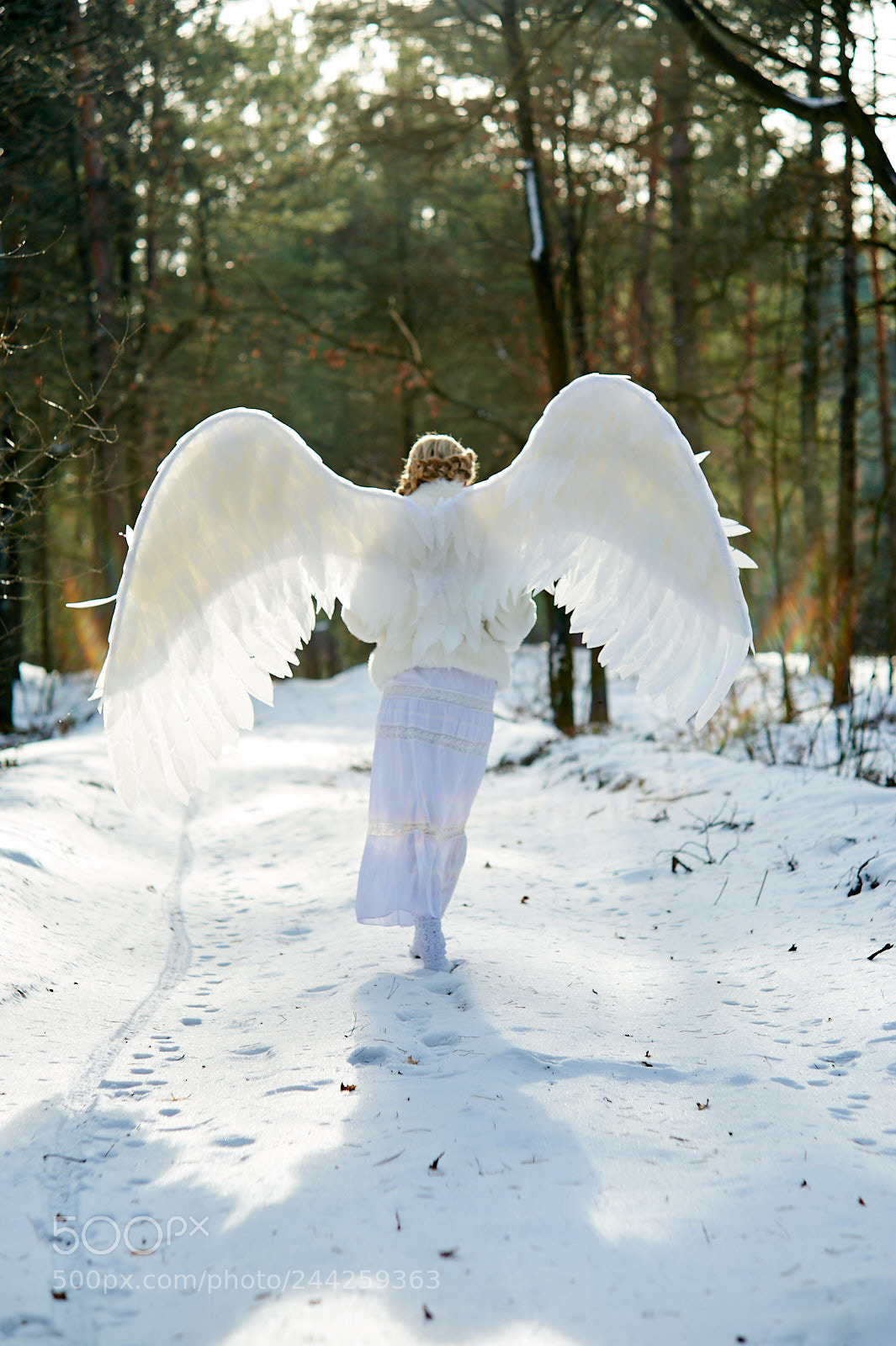 Nikon D700 sample photo. Angel photography