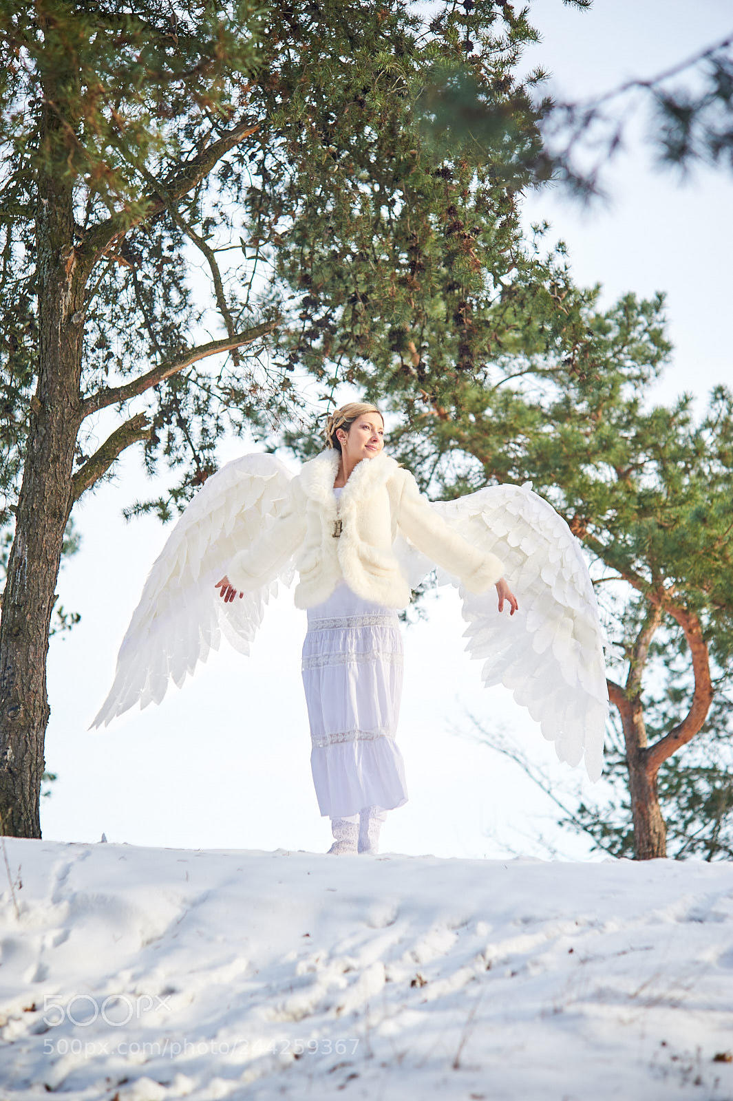 Nikon D700 sample photo. Angel photography