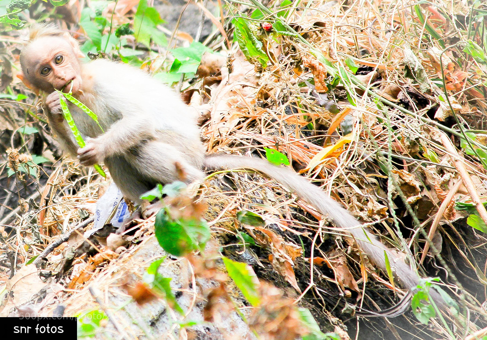 Canon EOS 1200D (EOS Rebel T5 / EOS Kiss X70 / EOS Hi) sample photo. Breakfast time... photography