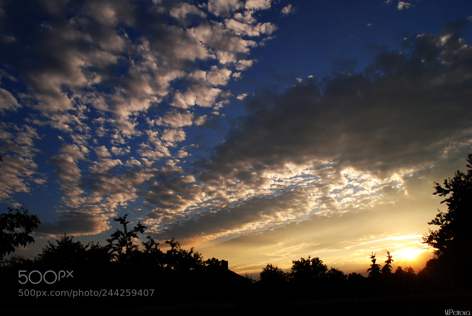 Nikon D3000 sample photo. Golden sky photography
