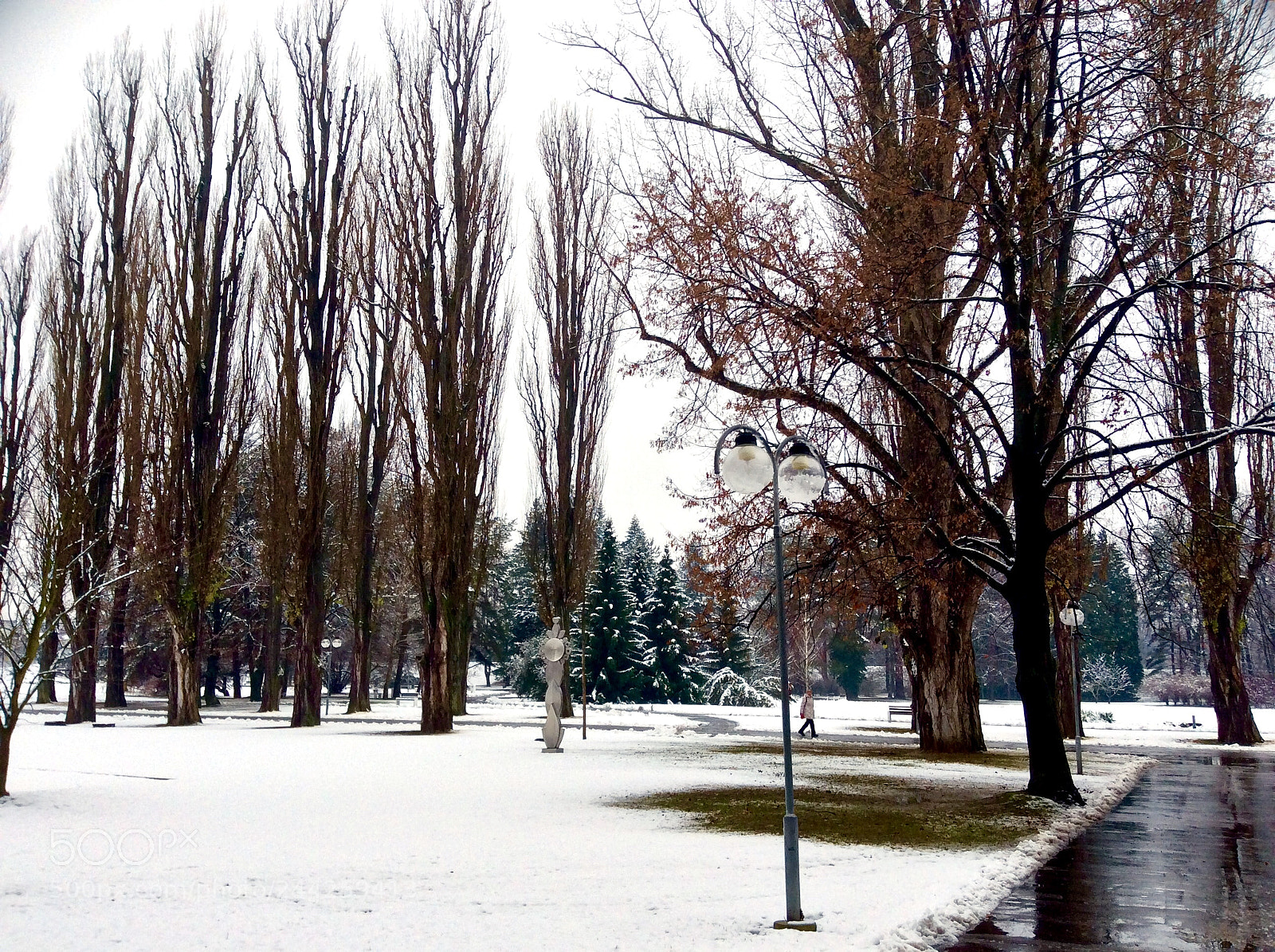 Apple iPad Air sample photo. First snow photography