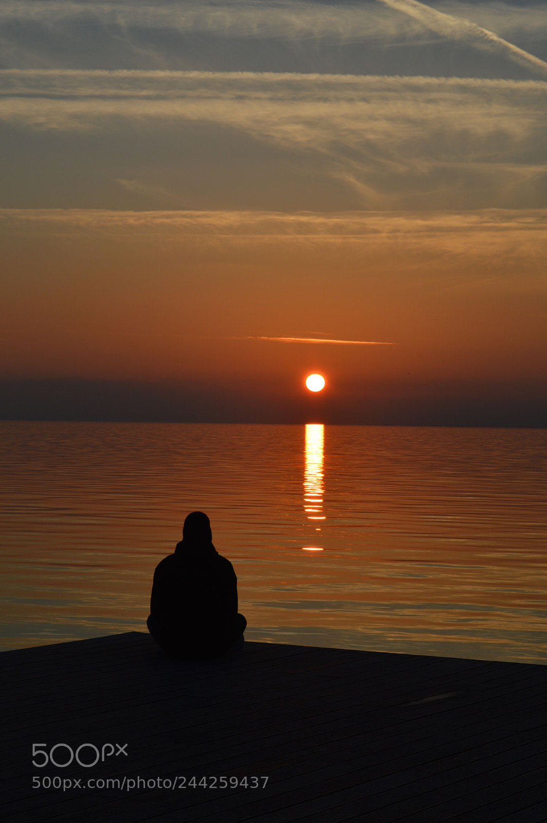 Nikon D3200 sample photo. Sunny photography