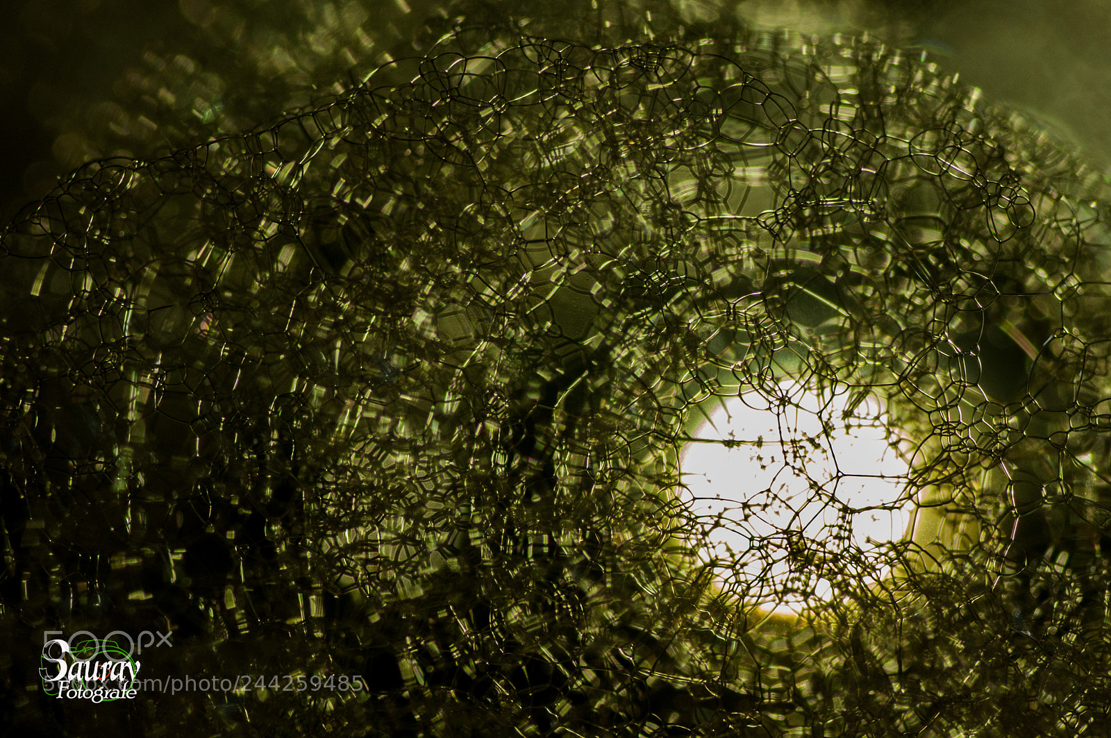 Nikon D90 sample photo. Trivial complex network photography