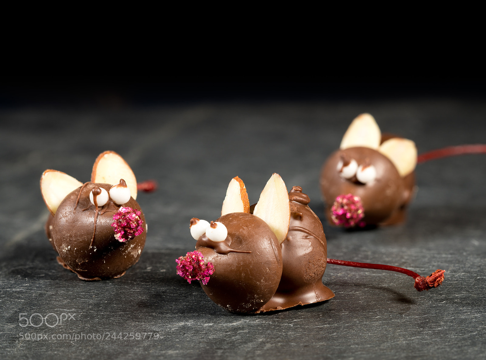 Sony a7R II sample photo. Chocolate covered mouse on photography